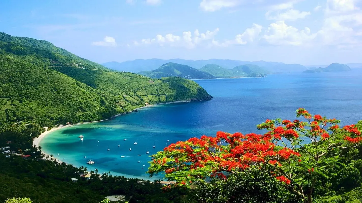 高性能高端全自动